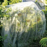 Fruits protective net - Anti-Codling Moth -5,20x5m